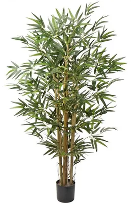 Produktbild von Kunstbamboe Pflanze mit Holzstamm und Cementfuß, 122cm hoch, Sichtschutz