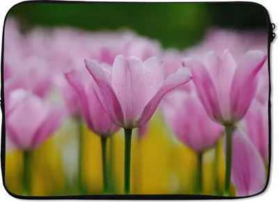Produktbild von MuchoWow® Laptop Hülle 14 ZollBlumen - Tulpen - Rosa Laptoptasche - Laptoptasche - Stoßsicher - Schutzhaube