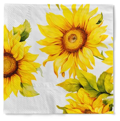 Produktbild von Tissue Serviette Himari, 40 x 40 cm, 100 Stück - Mank