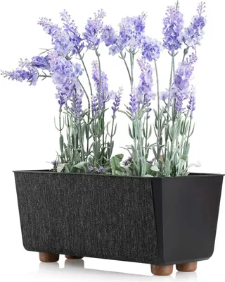 Image de HowHomely | Jardinière Salvia, Noir - 28,5 x 17 cm - Pots de fleurs, Élégant, Compact, Durable