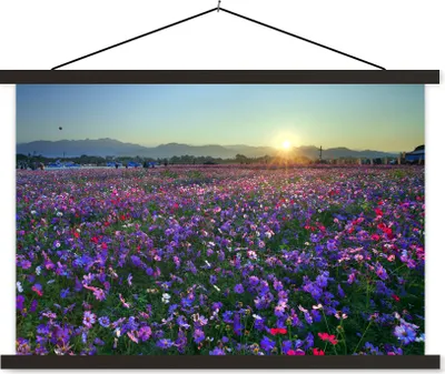 Produktbild von MuchoWow® Textilposter Blumen - Lila - Sonnenuntergang 90x60 cm mit schwarzem Rahmen - Aufhängungssatz