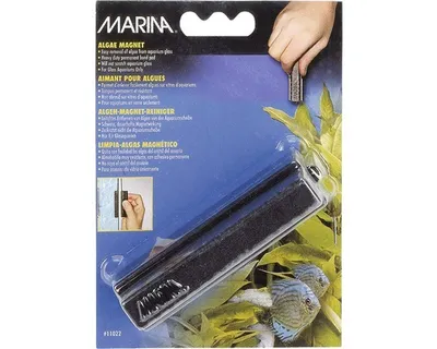 Produktbild von Algen-Magnet Marina mittel 10,5 x 2,7 x 3,5 cm