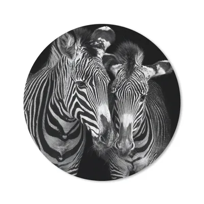 Produktbild von MuchoWow® Mauspad Mousepad Tierprofil Zebras in Schwarz und Weiß 30x30 cm - Mousepads - Maus Mat - Pad - Mausunterlage - Tischunterlage - Schreibtischmatten