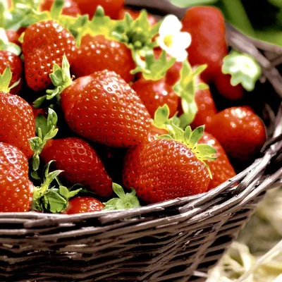Produktbild von 240 Duni Tissue-Servietten 33 x 33 cm Strawberries 3-lagig