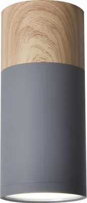 Zdjęcie produktu dla Lampa sufitowa Candellux TUBA 1xGU10 2284279