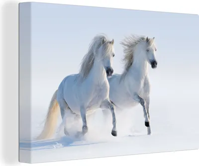Obrázek produktu pro OneMillionCanvasses® - Obrazy na plátně - 140x90 cm, Zima - Koně - Sníh, Nástěnné umění tisk Nástěnná dekorace - Fotografie na plátně - Obraz na dřevěném rámu