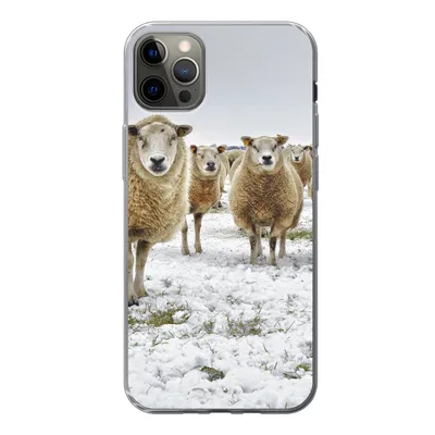Produktbild von MuchoWow® Handyhülle Schutzhülle Hülle für iPhone 12 Pro Max Schafe - Wolle - Schnee Silikon Softcase Handy Hülle - Hartschale