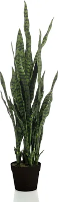 Produktbild von Umelá rastlina Sanseveria Black Coral - Elegantný dámsky jazyk v 97 cm pre nadčasovú atmosféru bývania