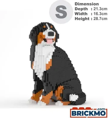A brick-built Bernese Mountain Dog figurine is shown sitting against a white background. Text and dimensions are displayed to the right of the dog.