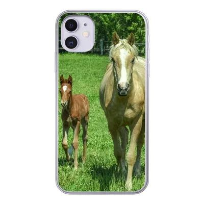 Produktbild von MuchoWow® Handyhülle Schutzhülle Hülle für iPhone 11 Pferd - Fohlen - Tiere Silikon Softcase Handy Hülle - Handytasche