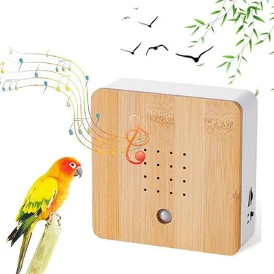 Zdjęcie produktu dla Zestaw dźwięków natury – śpiew ptaków – dekoracja – ogród – balkon – piękno natury – prezent dla miłośników zwierząt