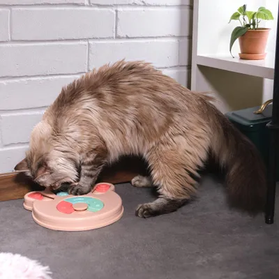 Produktbild von Tierisches Futtersuchspiel