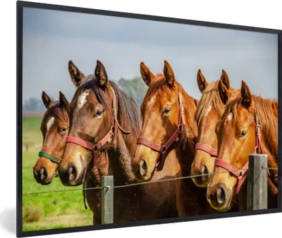Produktbild von MuchoWow® MuchoWow® Gerahmtes Poster Pferde - Zaun - Sommer 30x20 cm - Poster mit zchwarzem Bilderrahmen - Kunstdruck - Bild-Poster