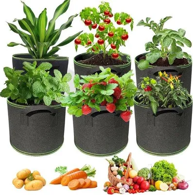 Image de Bacs de culture, lot de 6, bacs de 19 litres, bacs de culture, bacs de 5 gallons, bacs de culture avec poignées, pour plantes, fraises, fleurs, pommes de terre, tomates