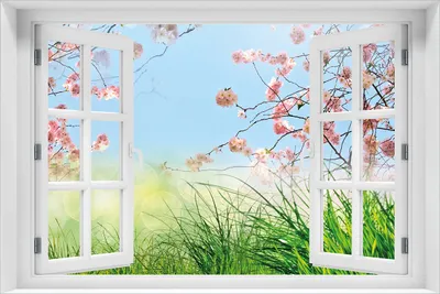 Produktbild von Wallario selbstklebendes Poster mit Fenster-Illusion - Kirschblütenzweige und grüne Wiese- Frühling, Größe: 61 x 91,50 cm