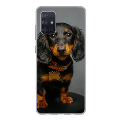 Produktbild von MuchoWow® Handyhülle Schutzhülle Hülle für Samsung Galaxy A51 Studiofoto eines Dackelwelpen Silikon Softcase Handy Hülle - Schutzabdeckung