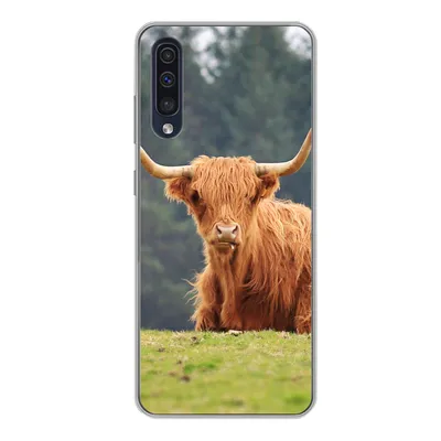 Produktbild von MuchoWow® Handyhülle Schutzhülle Hülle für Samsung Galaxy A50 Schottische Highlander - Gras - Wald Silikon Softcase Handy Hülle - Mobiltelefonhülle