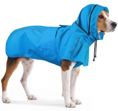 Immagine prodotto di Impermeabile riflettente per cani, colore blu, taglia M