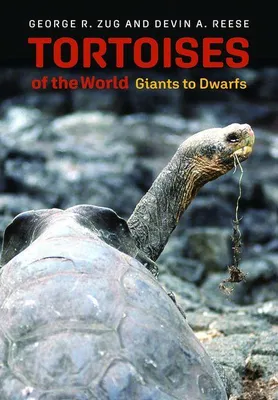 Produktbild von Tortoises of the World