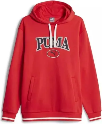 Produktbild von Hoodie Puma 676017-11 für Herren