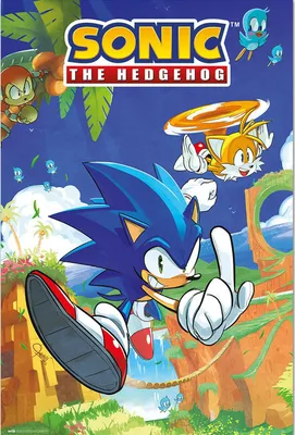 Produktbild von Poster mit Sonic Tails Motiv, offiziell lizenziert, 61x91,5 cm