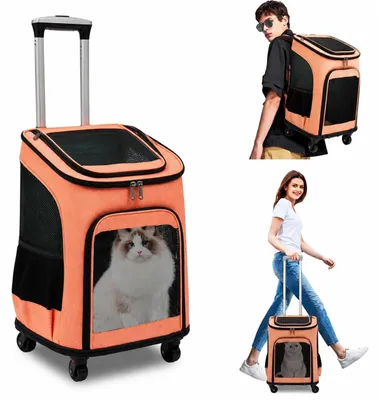 Image de Cage de transport pliable pour chiens et chats, équipée de roulettes
