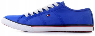 Zdjęcie produktu dla Buty Tommy Hilfiger Vantage FM5681698