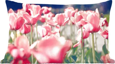 Produktbild von MuchoWow® Zierkissen Sofakissen Wohnzimmer Dekokissen 60x40 cm Tulpen - Blumen - Natur - Kopfkissen - Polster mit Foto