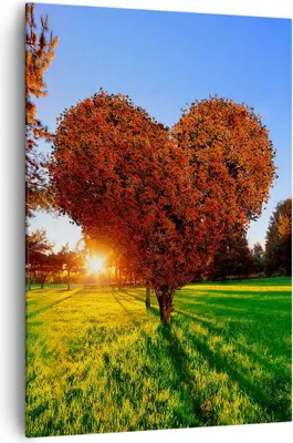 Produktbild von Bild auf Leinwand - Leinwandbild - Einteilig - Baum Park Frühling Herz - 70x100cm - Wand Bild - Wanddeko - Wandbilder - Leinwanddruck - Wanddekoration - Leinwand bilder - Wandbild - PA70x100-2823