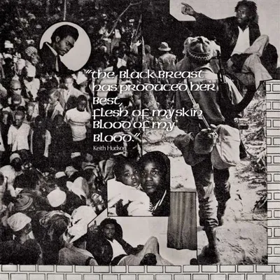 Image de Keith Hudson : Flesh Of My Skin Blood Of My Blood - - (Vinyle / Pop (Vinyle))