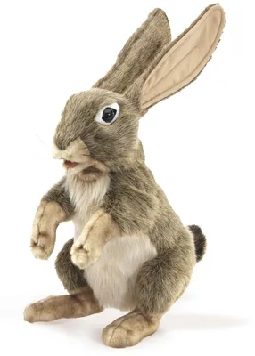 Produktbild von Folkmanis Handpuppe Feldhase / Jack Rabbit  3200 Hase Kaninchen 38 cm