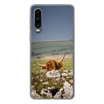 Produktbild von MuchoWow® Handyhülle Schutzhülle Hülle für Huawei P30 Schottische Highlander - Steine - Gras Silikon Softcase Handy Hülle - Kartenbesitzer