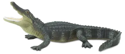 Produktbild von Safari Ltd Wilde Krokodilfigur Grau From 3 Years Kinder Grau From 3 Years