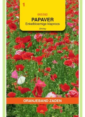 Productafbeelding van Oranjebloem (Rhoeas) 'Shirley', eenvoudige mix - 1 zakje zaad