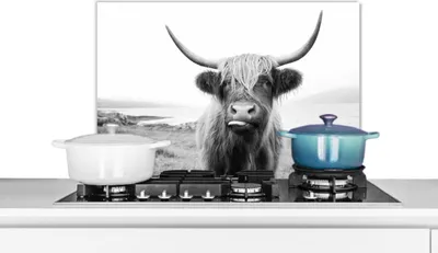 Produktbild von KitchenYeah®  Spritzschutz Küche - Küchenrückwand - Wandschutz für Herd und Spüle - Tiere - Schottisches Hochlandrind - Kuh - Schwarz - Weiß 70x50 - Alu-Dibond (Alternative zum Spritzschutz aus Glas)