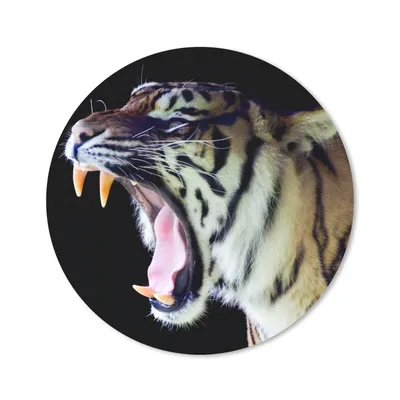 Produktbild von MuchoWow® Mauspad Mousepad Tiger - Zähne - Porträt 20x20 cm - Mousepads - Maus Mat - Pad - Mausunterlage - Schreibtischmatte