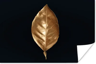 Produktbild von MuchoWow® Poster Blätter - Chic - Gold - Pflanzen - Schwarz 180x120 cm - Fotoplakat