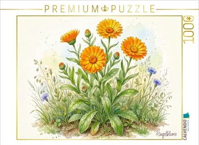 Produktbild von CALVENDO Puzzle Ringelblume | 1000 Teile Lege-Größe 64x48cm Foto-Puzzle für glückliche Stunden