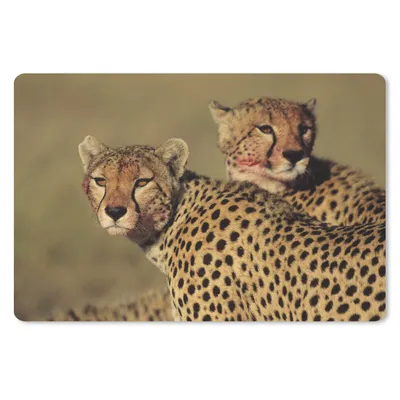 Produktbild von MuchoWow® Mauspad Mousepad Zwei Geparden in der Savanne 27x18 cm - Mousepads - Maus Mat - Pad - Mausunterlage - Büroartikel - Desk Matten