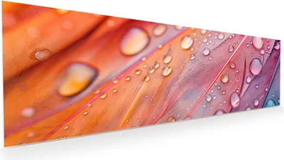 Produktbild von Glasbild 120x40cm in XXL für Wohnzimmer, Schlafzimmer Motiv Wassertropfen auf Federn