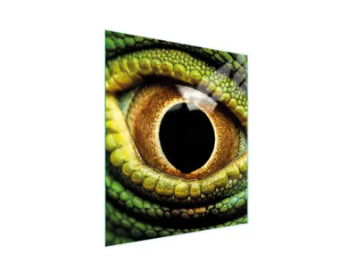 Produktbild von Schneidebrett aus Glas 45x52 cm