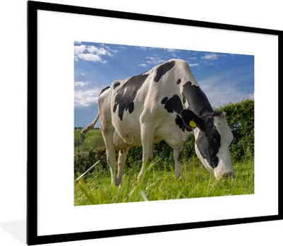 Produktbild von MuchoWow® Gerahmtes Poster Kuh - Wald - Gras - Tiere 80x60 cm - Poster mit Schwarzem Bilderrahmen Wandposter Rahmen Foto Bilder - Schlafzimmer-Dekorationen - Fotoposter