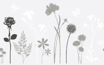Produktbild von d-c-fix Klebefolie glass Blossom