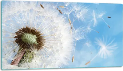 Produktbild von Glasschneidebrett Herdabdeckplatte Glaskeramikkochfeld Universal 52x30 cm Blumen