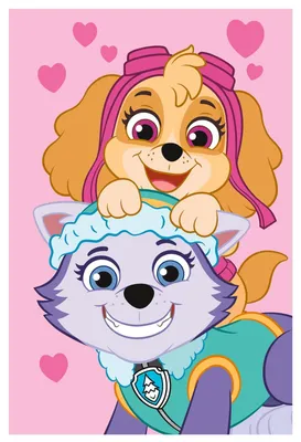 Imagen del producto de Manta de forro polar Paw Patrol, 100 x 150 cm, suave manta para niños