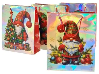 Produktbild von Geschenktüte 32 x 26 x 10 cm MIX – ADAR