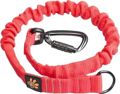 Immagine prodotto di JoQu Paraurti forte per cani di taglia grande, rosso