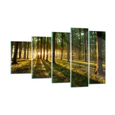 Produktbild von Bilder auf glas - Wald grün Sonnenstrahlen Natur - 100x60cm - Glasbilder - Wandbilder - Kunstdruck - zum Aufhängen bereit - Wanddekoration aus Glas - Glas Bilder - Wandbild auf Glas - GEG100x60-2510