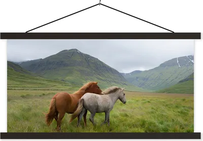 Produktbild von MuchoWow® Textilposter Pferde - Gras - Berge 120x60 cm mit schwarzem Rahmen - Dekoration Schlafzimmer