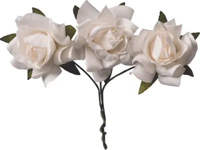 Produktbild von 6XKNORR prandell 217611000 Papierrose weiß